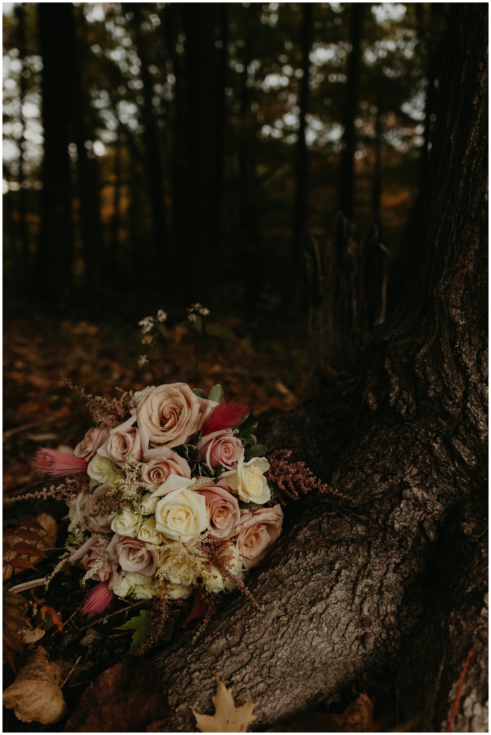 portraits after civil ceremony