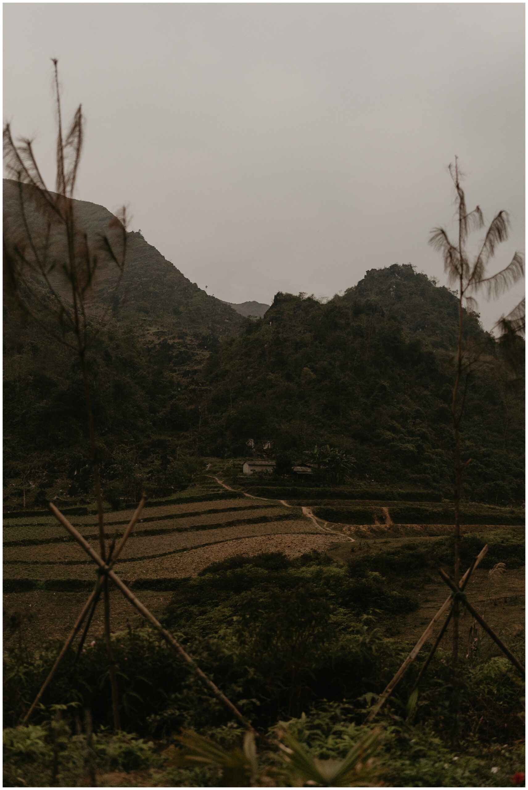 northern vietnam agriculture