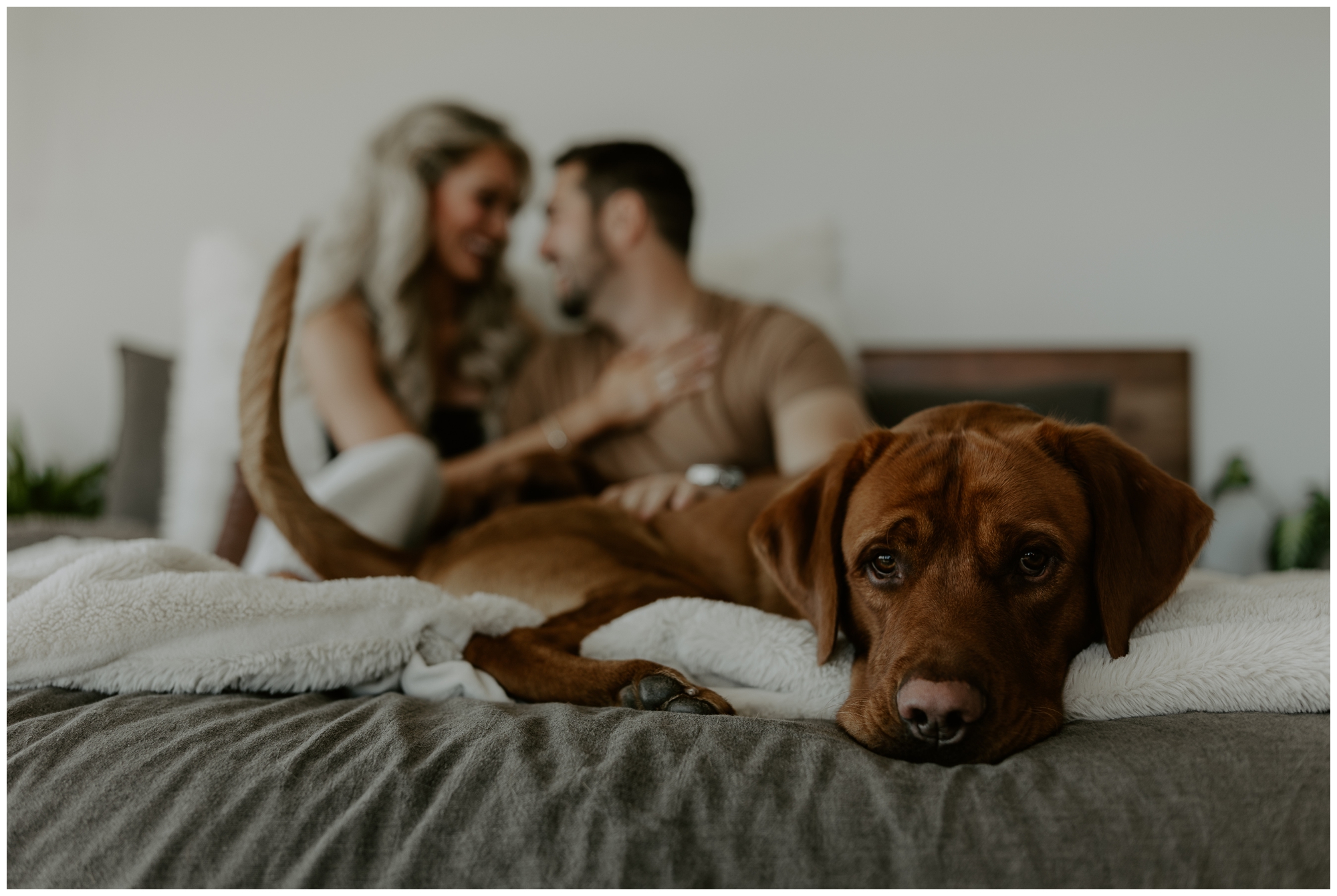 at home engagement photos with dog